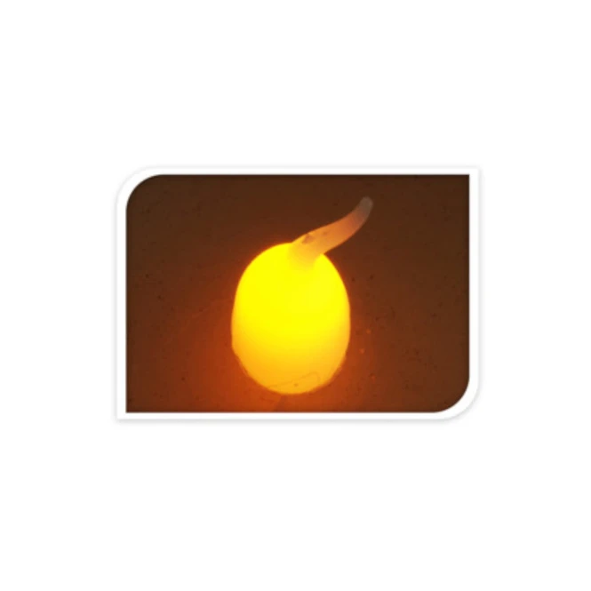 LED-Kerze - Aus Echtwachs - Ca. 5 X 6,5 Cm - Elfenbein 4 LED-Kerze - Aus Echtwachs - Ca. 5 X 6,5 Cm - Elfenbein – Bild 2