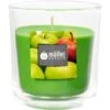 Duftkerzenglas - Apfel 2 Duftkerzenglas - Apfel -Saisonale Dekorationen 204753 4009078764551 mueller kerzen duftkerzenglas apfel