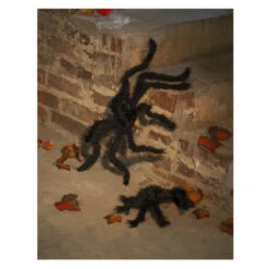 Boland Spinne - Ca. 50 X 65 Cm