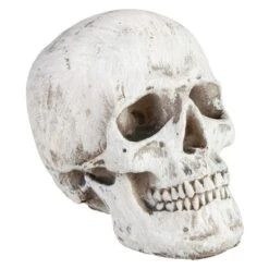 Totenkopf - Aus Keramik - Ca. 9,5 X 6,5 X 7,5 Cm 5 Totenkopf - Aus Keramik - Ca. 9,5 X 6,5 X 7,5 Cm -Saisonale Dekorationen 217863 1 neu