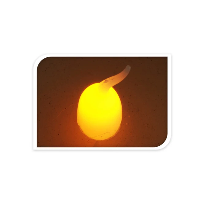 LED-Kerze - Aus Echtwachs - Ca. 7 X 9 Cm - Dunkelrot 4 LED-Kerze - Aus Echtwachs - Ca. 7 X 9 Cm - Dunkelrot – Bild 2