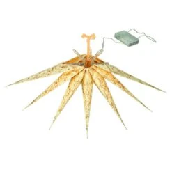 Titelseite -Saisonale Dekorationen 229561 2 neu