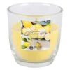 Citronella-Kerze - Ca. 7,5 X 7,5 Cm -Saisonale Dekorationen 235488