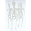 Skelette - Glow In The Dark - Ca. 30 Cm Hoch - 4 Stück -Saisonale Dekorationen 23905 4016096438340 platik skelett 30 cm1