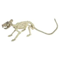 Deko-Skelett - Ratte - Ca. 32 Cm 7 Deko-Skelett - Ratte - Ca. 32 Cm -Saisonale Dekorationen 239781 4009384544366 fries deko skelett ratte 01