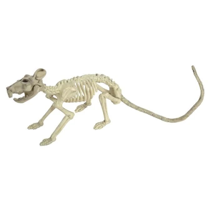 Deko-Skelett - Ratte - Ca. 32 Cm 5 Deko-Skelett - Ratte - Ca. 32 Cm – Bild 3