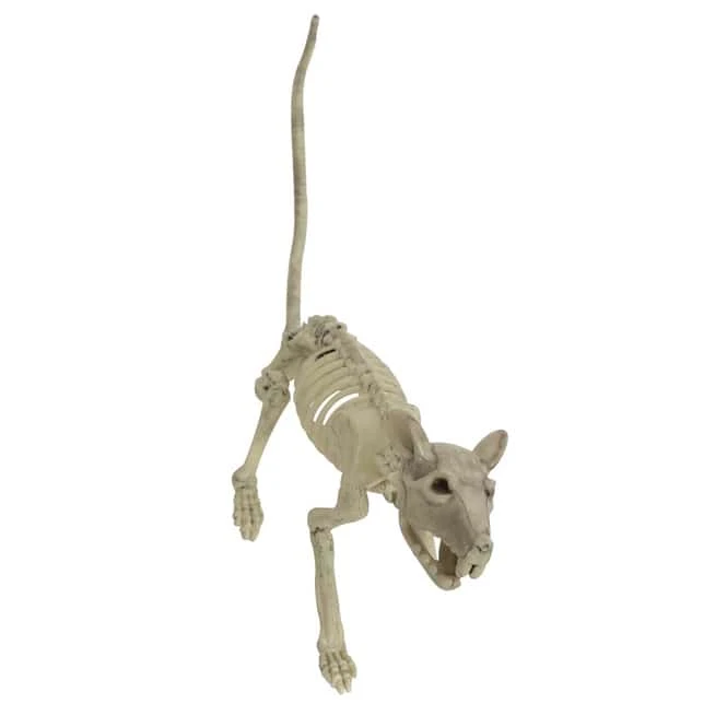 Deko-Skelett - Ratte - Ca. 32 Cm 4 Deko-Skelett - Ratte - Ca. 32 Cm – Bild 2